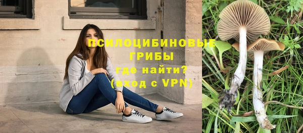 apvp Лиски