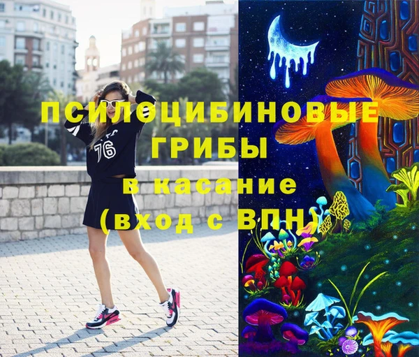 apvp Лиски