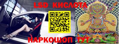 шишки Заволжье