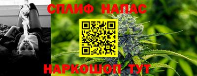 шишки Заволжье