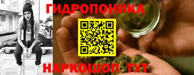 шишки Заволжье