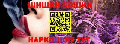 шишки Заволжье
