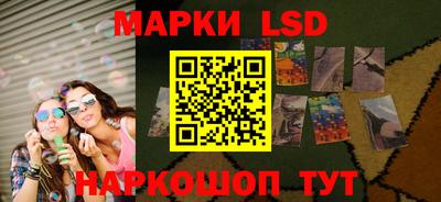шишки Заволжье