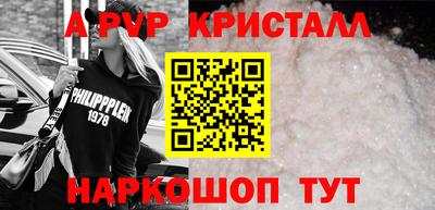 шишки Заволжье