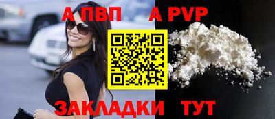 шишки Заволжье