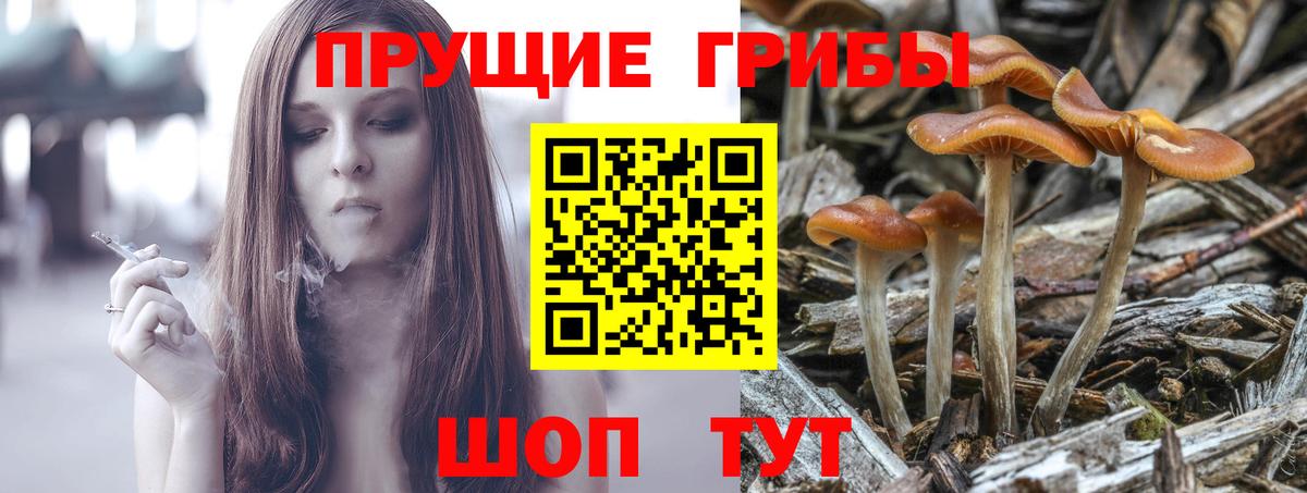 Галлюциногенные грибы мицелий Михайловск